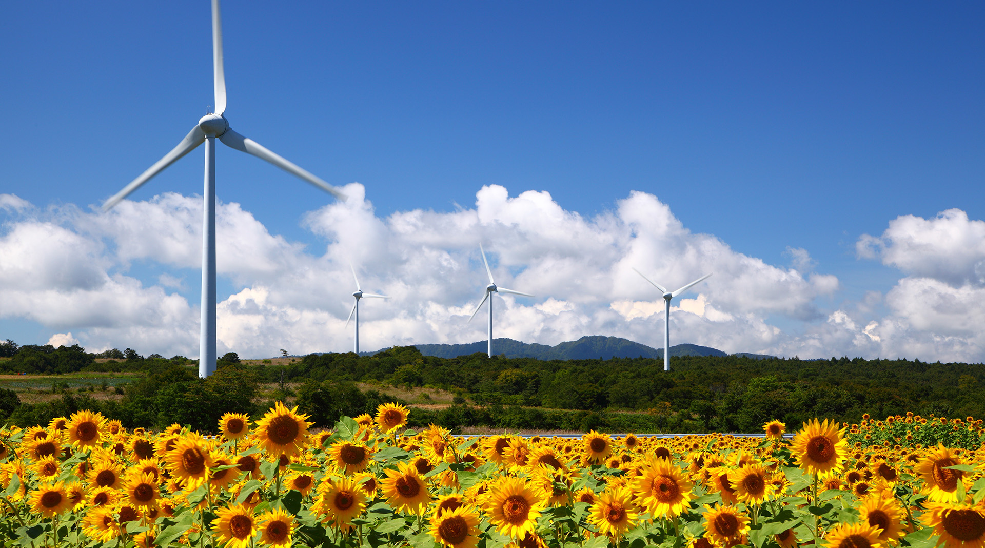 昭和建産福島販売株式会社